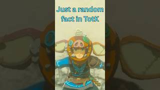 Just a random detail I recently found in TotK #zelda #totk