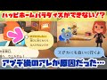 【あつ森】ハッピーホームパラダイスができない…＆アミーボカードで神引きしたあの子に会いに行く！【絶対私だけじゃない】