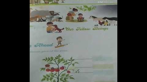 Class 2 EVS  Chapter 13 PLANTS AROUND US Explanation (part 1)