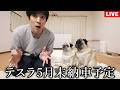 【生配信】ネットで自動車保険の見積もりしてみたら驚きの結果に!!!