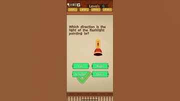 Super Brain Level 9 Which direction does the flashlight light point to