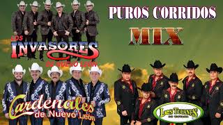 Los Tucanes De Tijuana, Los Invasores De Nuevo Leon, Cardenales De Nuevo Leon - Puros Corridos 2023