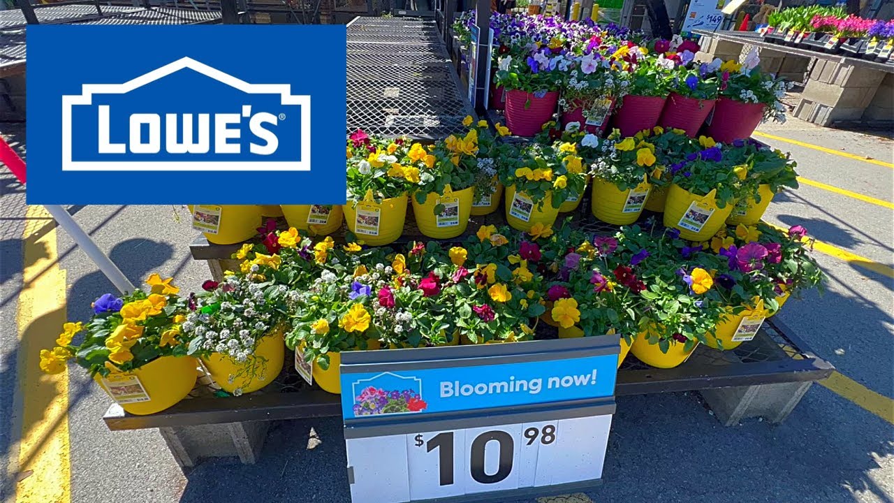 Lowe’s USA 🇺🇸 Shopping. Garden Center, Flowers, Plants 🪴 - YouTube