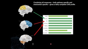 Overview of CorticalMetrics