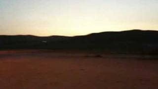Camels at Kfar Hanokdim