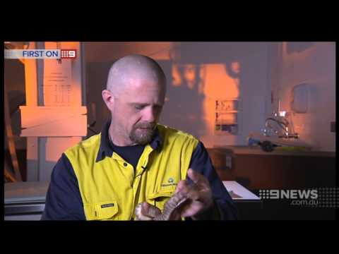 Hungry Snake | 9 News Adelaide