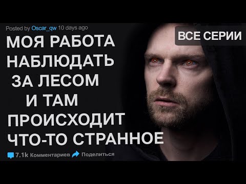 Моя работа наблюдать за лесом и здесь происходит что-то странное