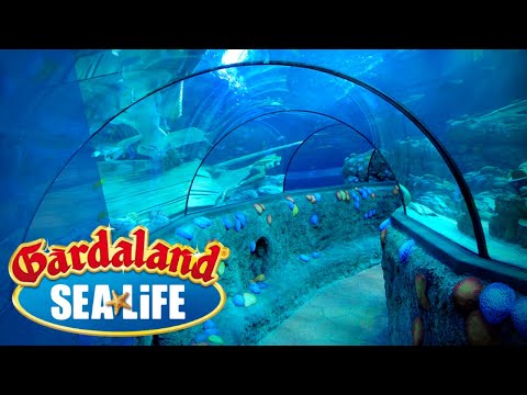 4K Virtual Tour 🐠 Gardaland SEA LIFE Aquarium 🐠 Castelnuovo del Garda 🐠 Verona, Veneto 🐠 Italia