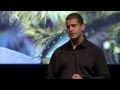 Life inside the beehive: Mat Welch at TEDxPerth