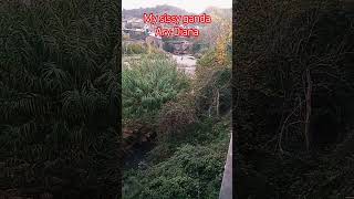 For My Sissy Arydiana7211