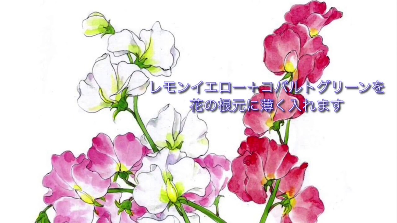 花の描き方 解説 Youtube