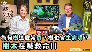 為什麼樹會倒下？樹木也會生病嗎？生活在城市裡的行道樹為什麼不快樂？｜feat.樹木醫 詹鳳春｜公視我們的島Podcast有影版 ＠EP.75