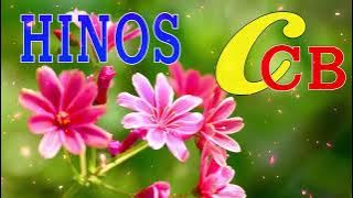LINDOS HINOS CCB CANTADOS🌷193, 01, 118, 129, 185, 191, 220, 256, 323, 329