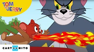 Tom und Jerry | Die Hitzewelle | Boomerang Tom und Jerry | Die Hitzewelle | Boomerang