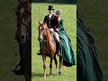 little horse