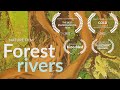 Forest rivers