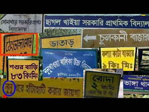 ভিডিও: বিড়াল রক্ত বমি করে: কারণ, প্রাথমিক চিকিৎসা এবং ঘরোয়া চিকিৎসা