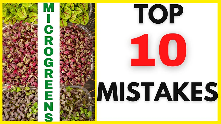 TOP 10 MISTAKES New Microgreens Growers Make