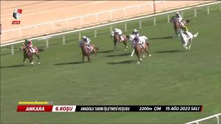 Grup 2 - Anadolu Tarım İşletmesi Koşusu Galibi Aypars Oldu 15082023