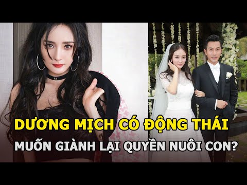 Video Dương Mịch giành lại quyền nuôi con sau quãng thời... - youtube