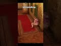 Average Rainbow Six Siege Experience #shorts