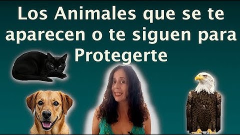 🌟 These are the Animals that Appear to You and Follow You to Protect You Spiritually 🐺🕊️🌙