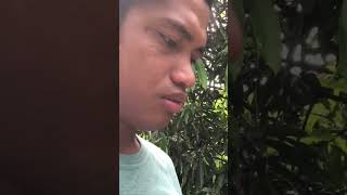 323rd Day  Watch It Here Httpsyoutubetx m8cgzuwosisnisqb4sa0si3mx