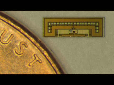 Stanford engineers design ant-sized radio to control 'Internet of Things'