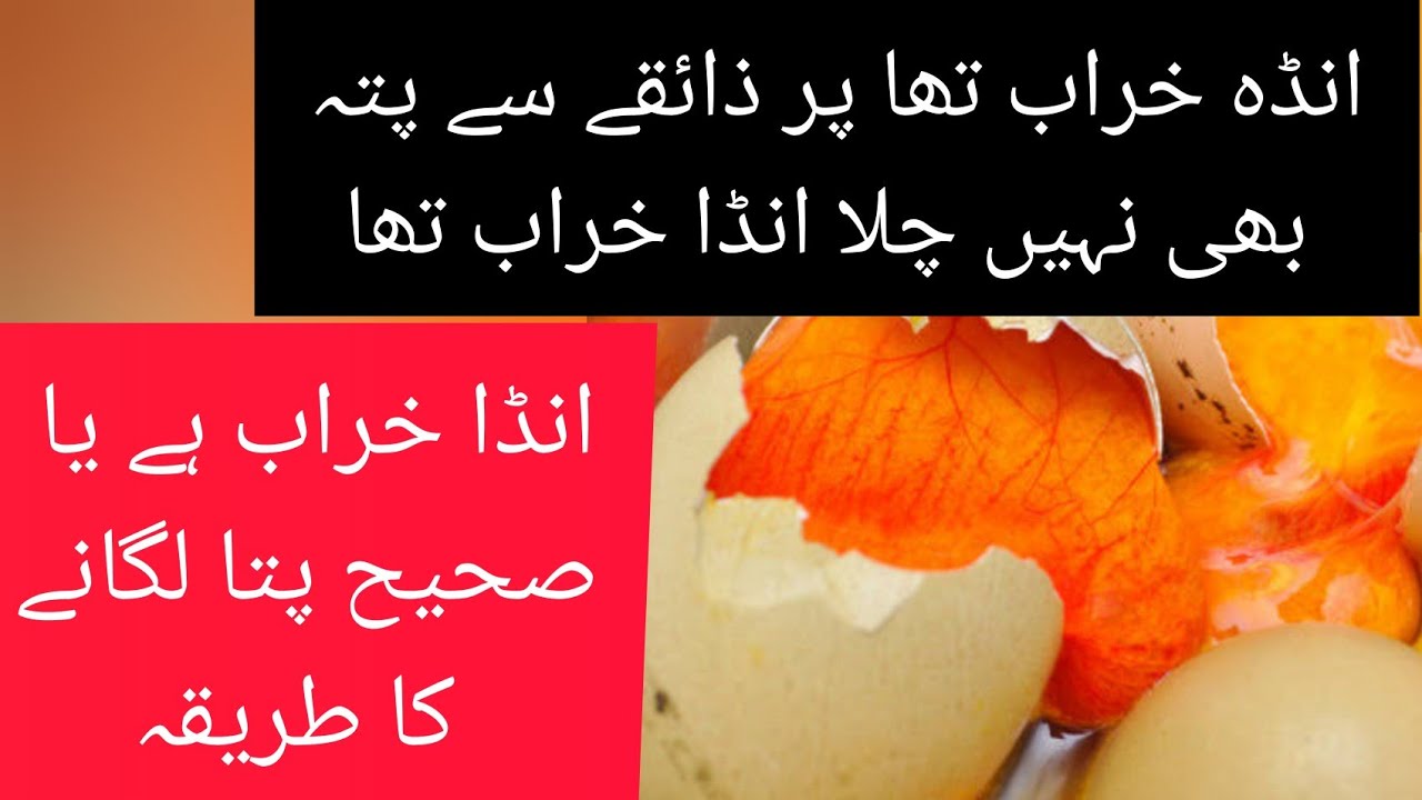 How To Check Bad And Good Eggs At Home Khrab Anday Ya Sahi Ki how-to-check-bad-and-good-eggs-at-home-khrab-anday-ya-sahi-ki