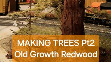 Trees for the Rogue Valley Shelf Layout Part 2... Old Growth Redwood.