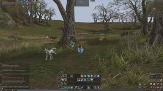 Lineage 2 Classic TI Bots