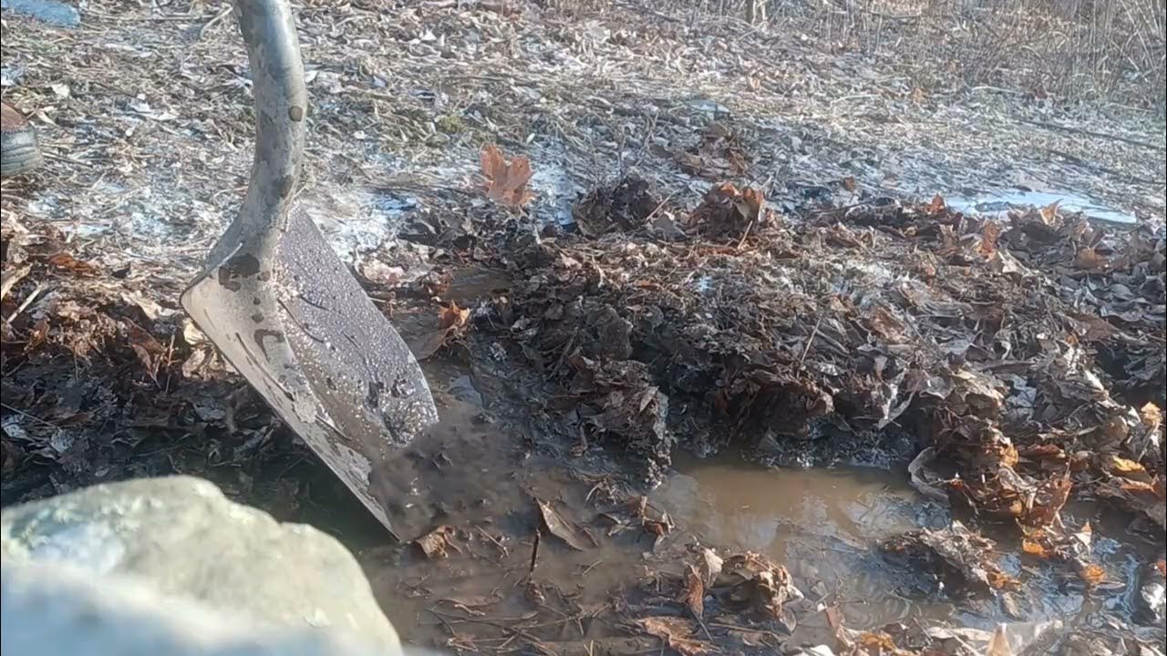 Building a Spring Fed Pond!? YouTube