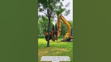 Excavator Tree Spade – Transplanting a Full-Grown Tree with Precision