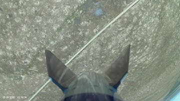 Level One Cert -- MAY 24 2020