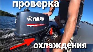 Проверка системы охлаждения на лодочном моторе Yamaha 5с