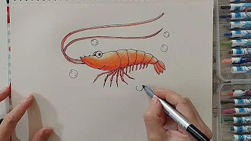 Hình Vẽ Con Tôm