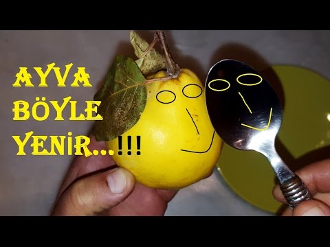 Video: Ayvayı Nasıl Yiyebilirsin