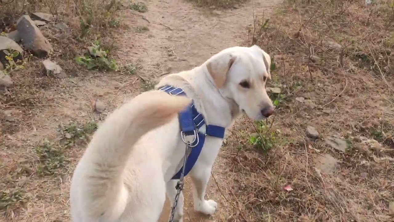 My first vlog in YouTube pls support guys 