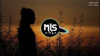 Daya-Tokyo Drifting (Ghost532 Remix) MLS Vibez 2024