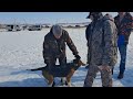 Выставка «Весенняя Жердевка» 2026г