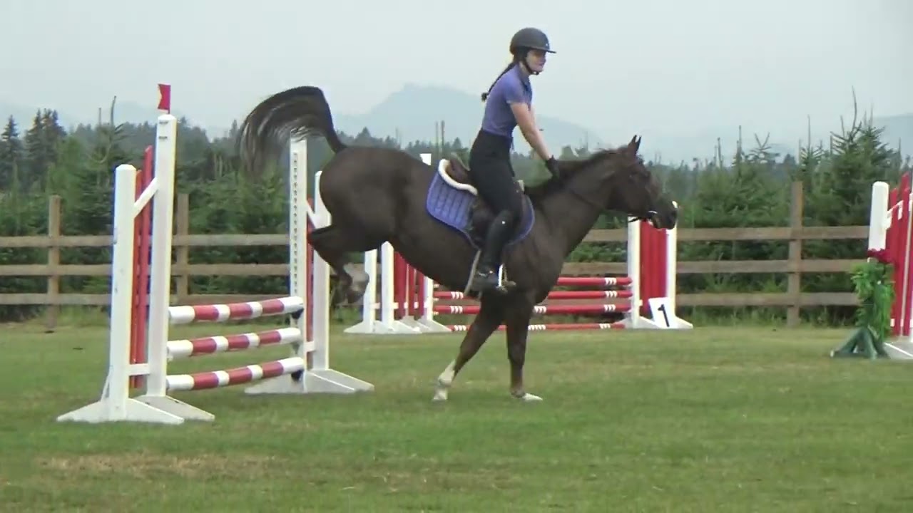 Hadlee & Peanut (Pinot Grigio) .70 Jumper Grass Milner Downs July 2025