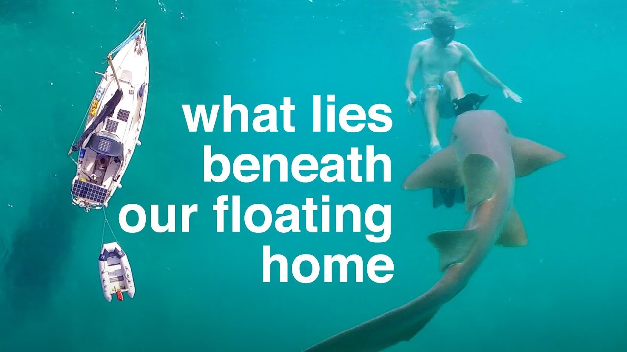 What lies beneath our floating home  – Sailing Tarka Ep. 36