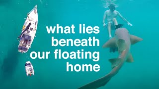 What lies beneath our floating home  - Sailing Tarka Ep. 36