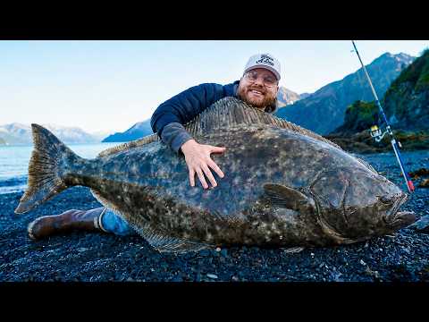 I Caught a 100-lb Halibut FROM SHORE - Surf Fishing Alaska - YouTube