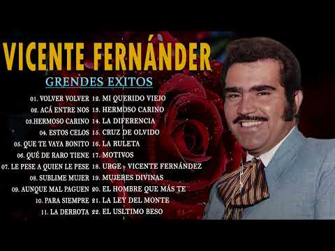 VICENTE FERNANDEZ MEJORES CANCIONES - VICENTE FERNANDEZ 40 GRANDES ÉXITOS MIX