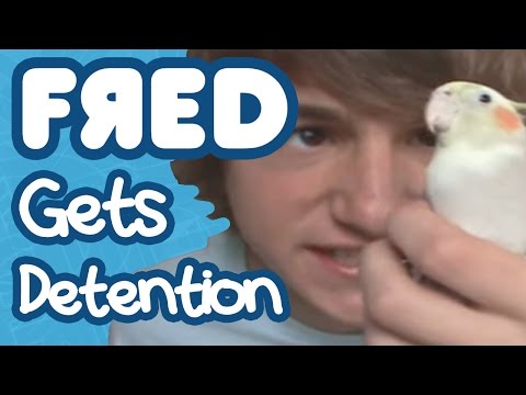 (1.4) Fred is really scared that because he got detention, he won't be able to be a pediatrician. IT'S HACKIN HERE!! FredFigglehorn.com !! http Oh My Gammitt!!! Get 'A Hackin' Christmas with Fred' right here!!!!! Get the album on iTunes: bit.ly GO TO MY MY WEBSITE!!! fredfigglehorn.com MORE FRED FUNNESS!!!! http Twitter.com Formspring.com WATCH FIGGLE CHAT HHERE!!! bit.ly MORE PLAYLISTS FRED's Hackin Awesome Playlist: bit.ly FRED's Movie Playlist: bit.ly FRED as a Cartoon!!!!: bit.ly FRED's Music Videos!!!!!: bit.ly