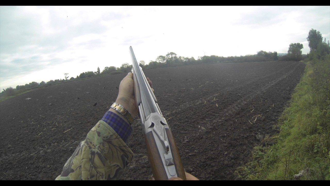 How to shoot 105 Pigeons over different Crops YouTube