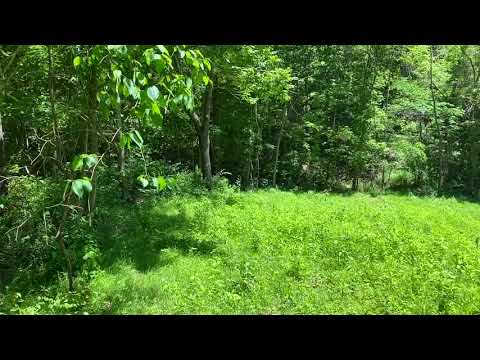 Owner Financed 12 Acres on Bryant Creek in Missouri Ozarks! InstantAcres.com - ID#PH24