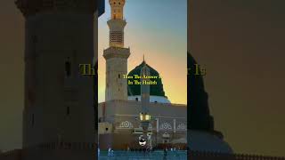 Download Lagu What Have You Prepared For The Afterlife.! ☝🏻🤲🏻 #Allah #Foryou #Fyp #Prophet #Islam #Dua MP3