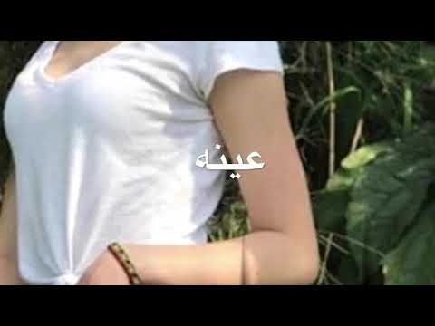 جماله ماهو بشويه تصميم الوصف مهمممممم